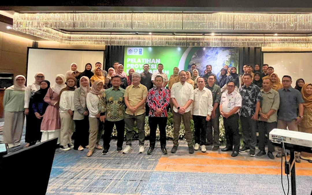 Pelatihan Proyeksi Iklim 2025: Memperkuat Kapasitas Daerah dalam Analisis Risiko Iklim